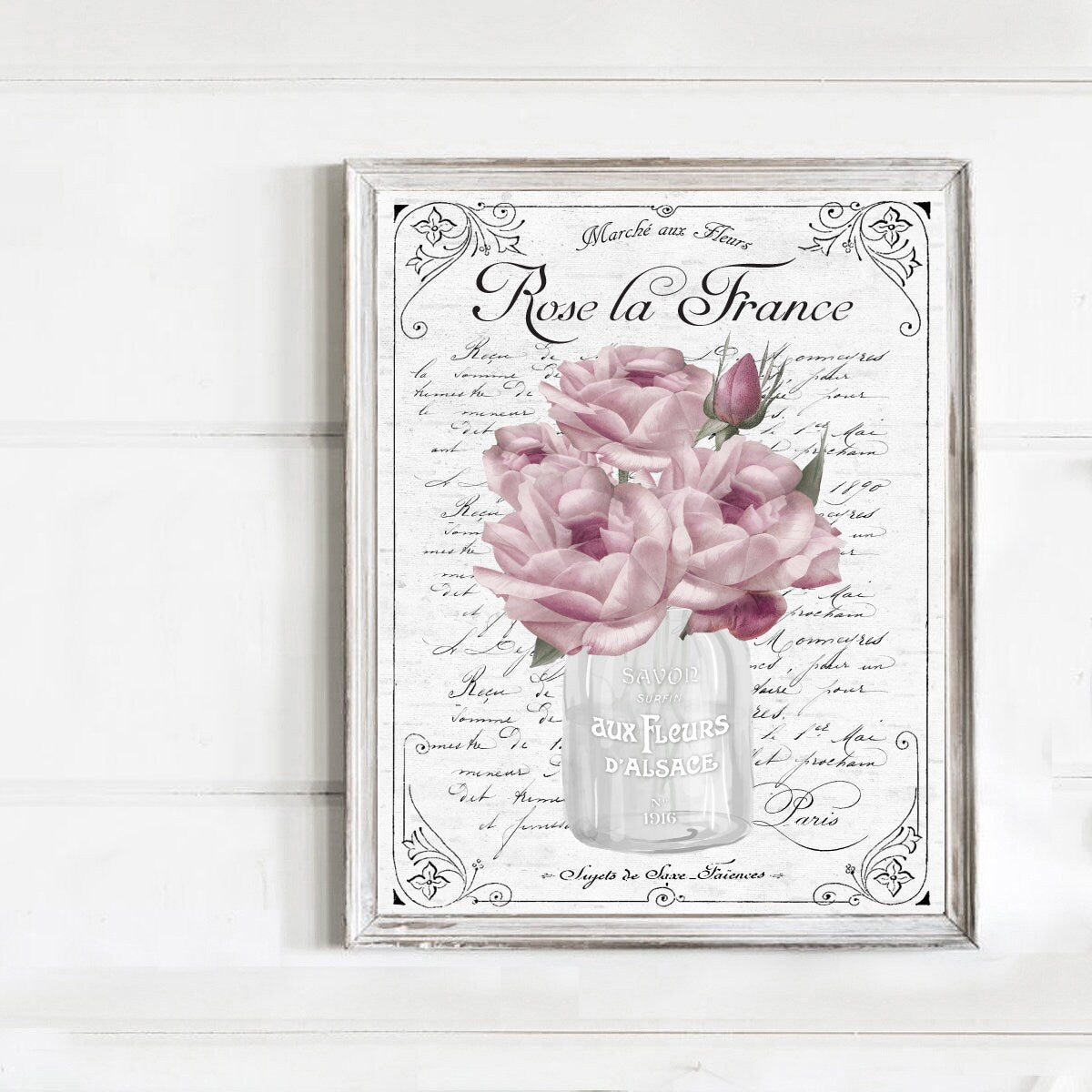 Rose La France French Botanical Lettered & Lined