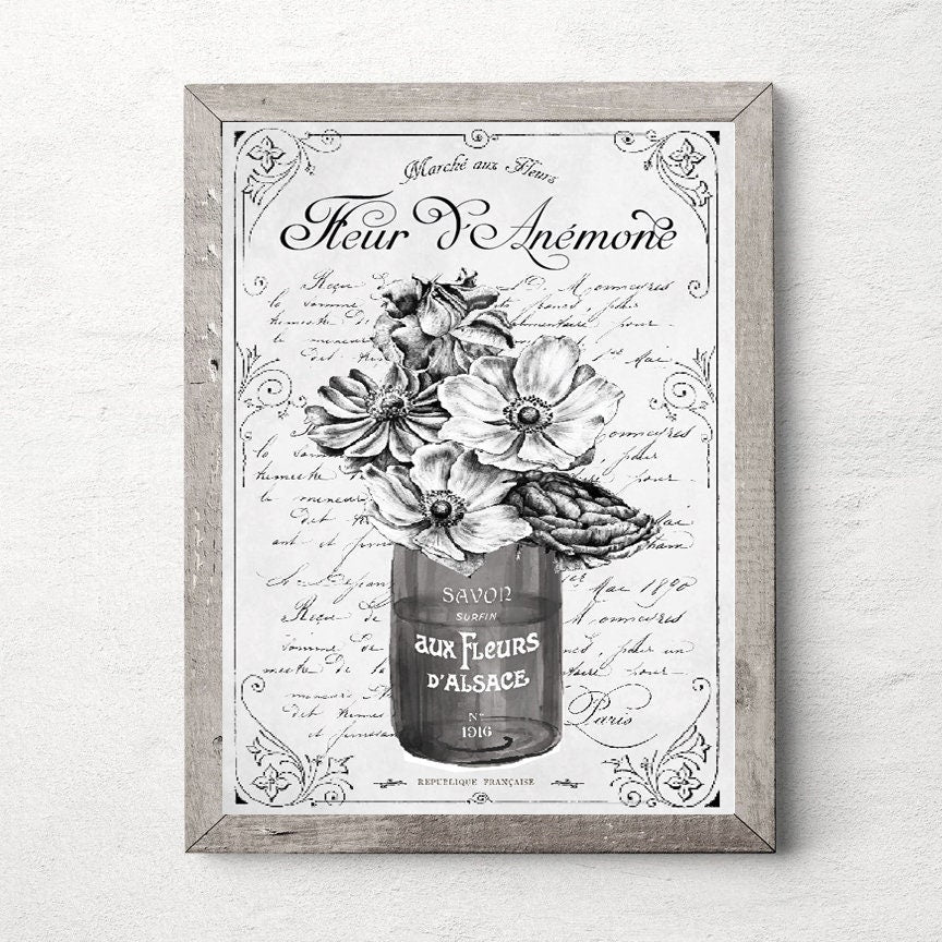 Fleur d'Anemone French - Lettered & Lined