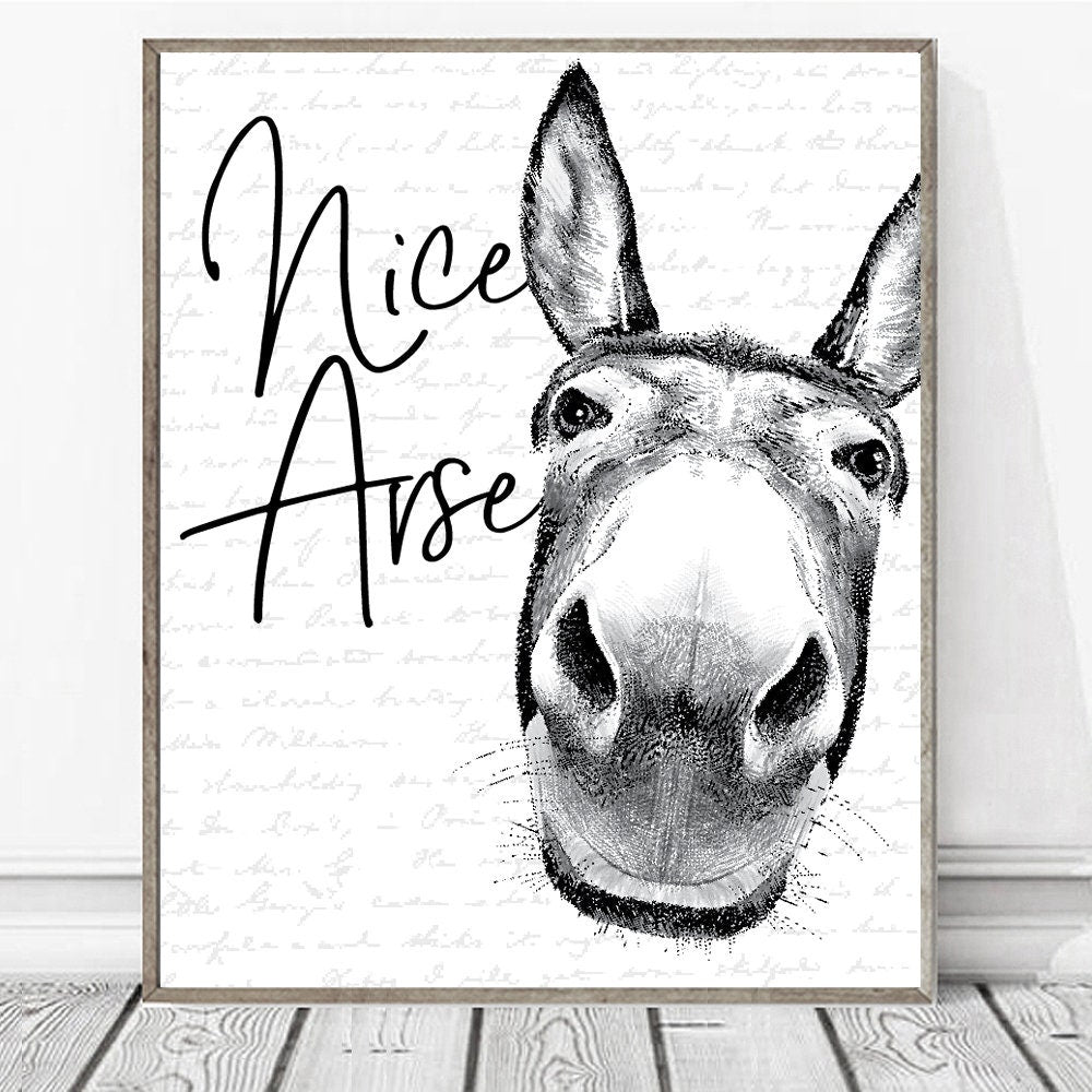 Nice Arse Custom Bathroom Wall Art Decor | Farmhouse Bathroom Decor | Bathroom Wall Art Signs | Funny Bathroom Sign | Vintage Bathroom Decor