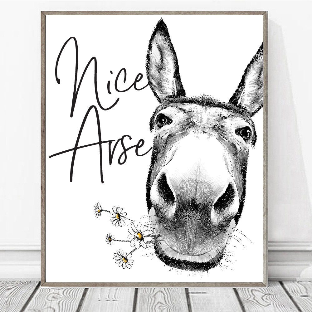 Nice Arse Donkey Daisies Custom Bathroom Wall Decor | Farmhouse Bathroom Decor | Bathroom Wall Art Signs | Funny Bathroom Sign | Vintage Art