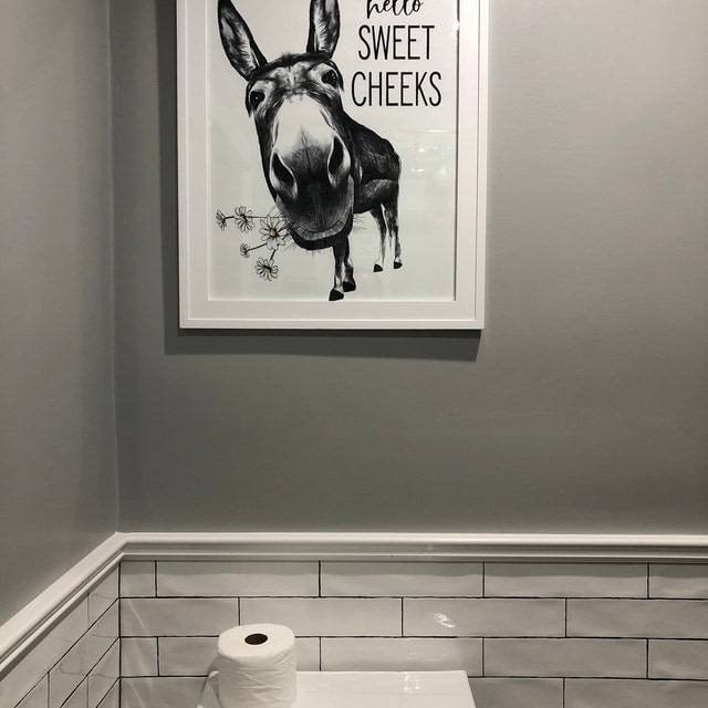 Hello Sweet Cheeks Donkey Full Body Daisies - Lettered & Lined