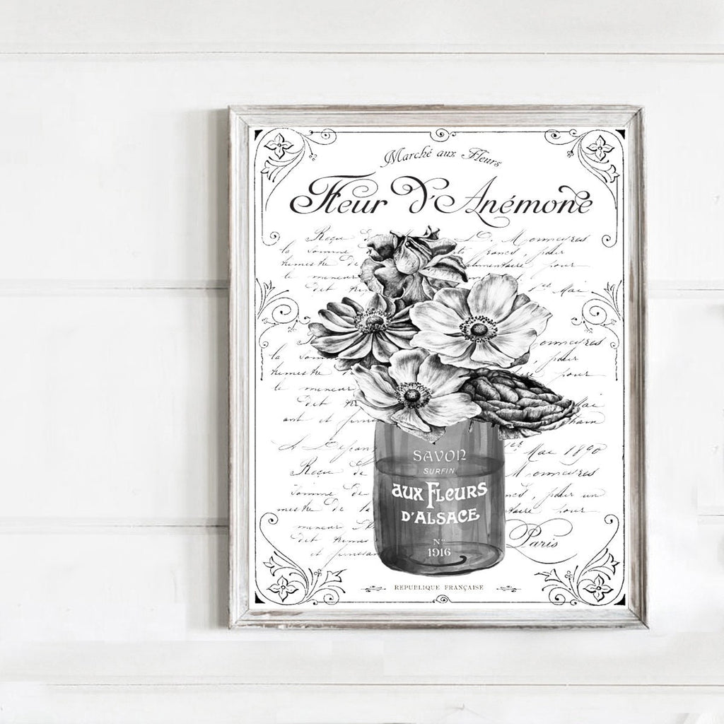 Fleur d'Anemone French - Lettered & Lined