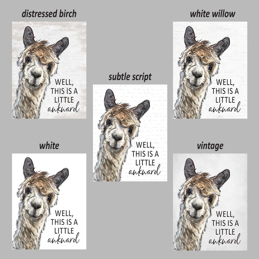 background examples options | Lettered & Lined