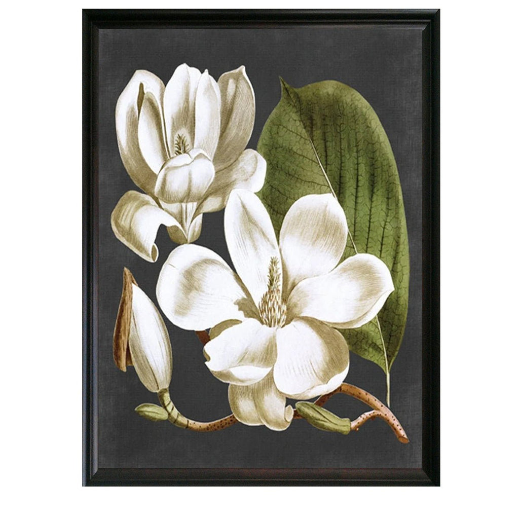 Magnolia 2 Botanical Illustration - Lettered & Lined