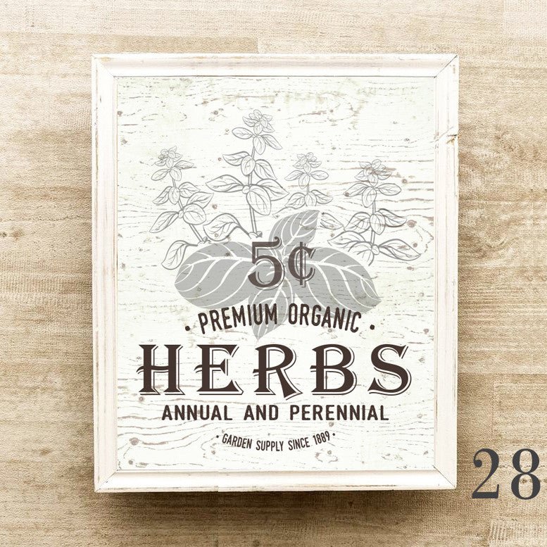 vintage-seed-packets-set-of-4-lettered-lined
